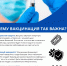 1 - Лысковский муниципальный округ